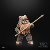 Star Wars Black Series Episode VI - Wicket - 40th Anniversary